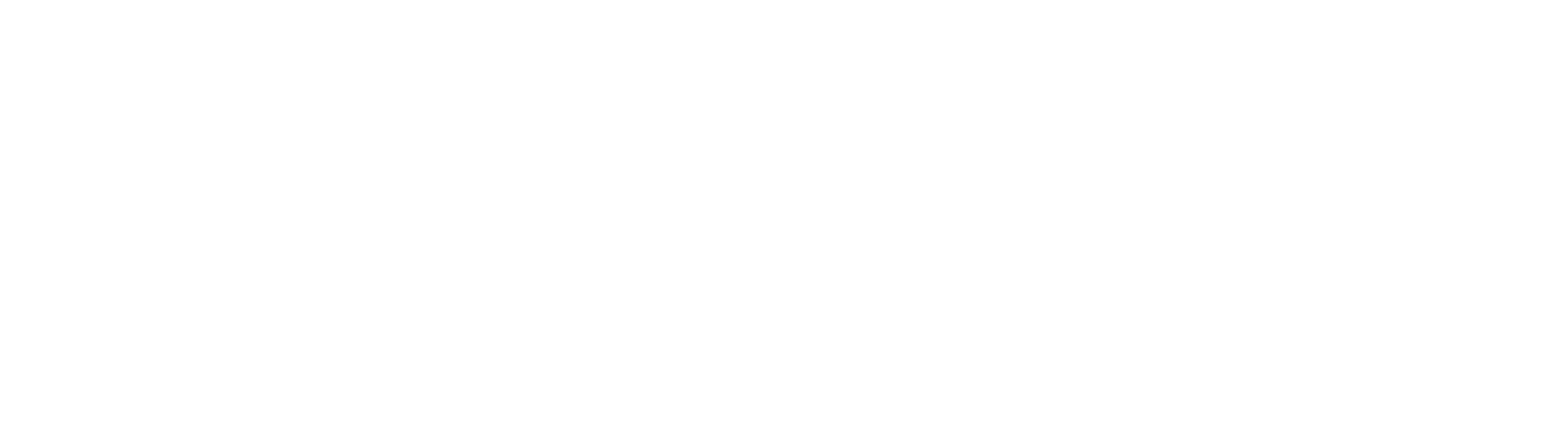 vesi.